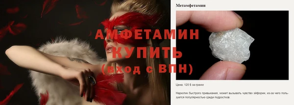амф Пестово